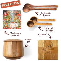 Chai Free Gift Bundle